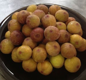 Bowl of brown turkey figs