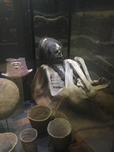 Mummy at Fonck Museum