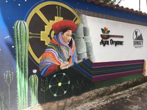 San Blas organic restaurant