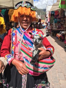 Take a picture of my llama