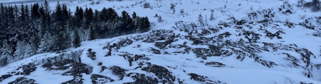 Lava dominates the Iceland landscape