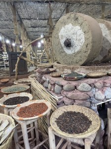 Tools used to process argan oil in Morocco