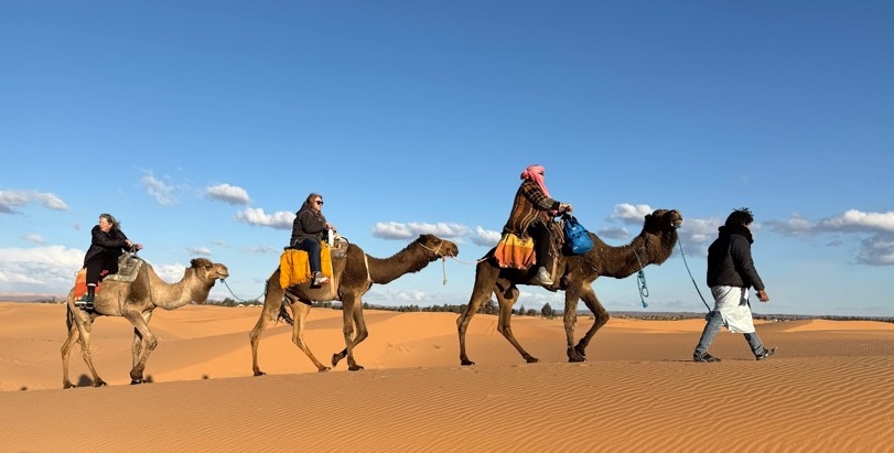 Camel caravan in the Sahara Desert