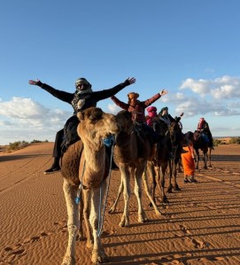 NextTribe rides camels in the Sahara Desert