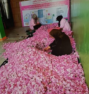 Women processing rose petals at a co-op in Morocco