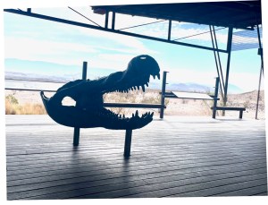 Fossil exhibit, Big Bend National Park