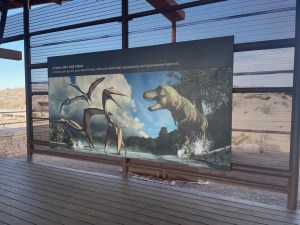 Display at the fossil exhibit, Big Bend National Park