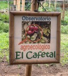 El Caffetal sign, Envigado Colombia